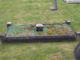 image of grave number 134140
